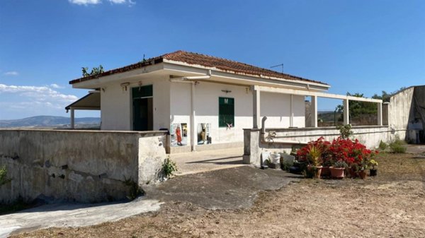 casa indipendente in vendita a Scordia