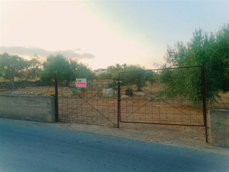 terreno agricolo in vendita a Scordia
