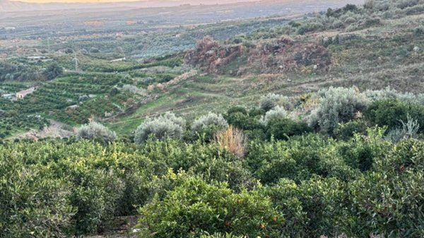 terreno agricolo in vendita a Scordia