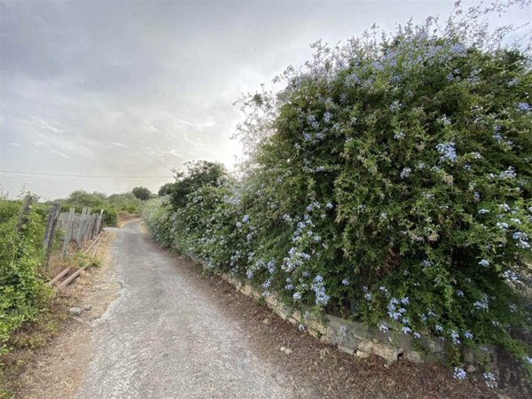 terreno agricolo in vendita a Scordia