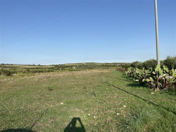 terreno agricolo in vendita a Scordia