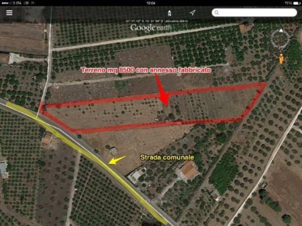 terreno agricolo in vendita a Scordia