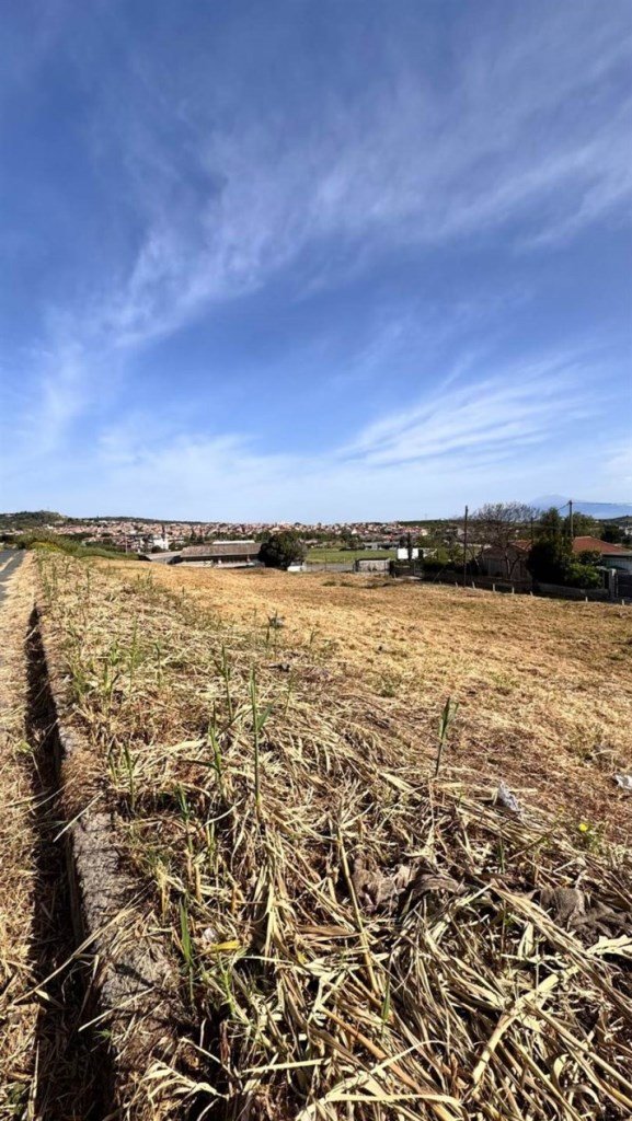 terreno agricolo in vendita a Scordia
