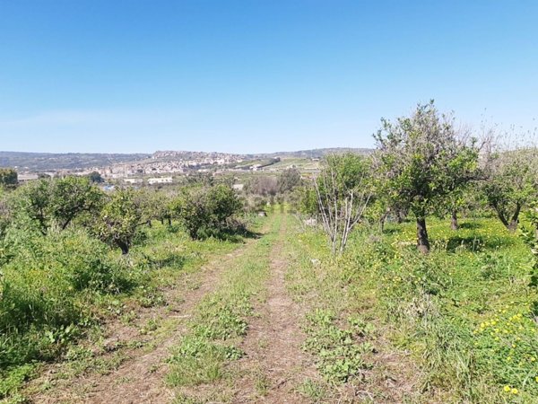 appartamento in vendita a Scordia