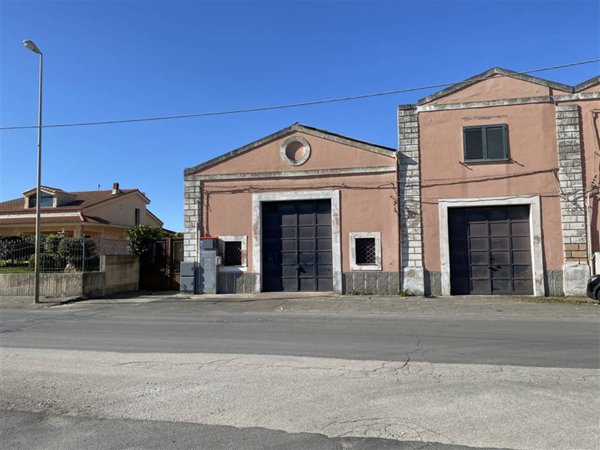 appartamento in vendita a Scordia