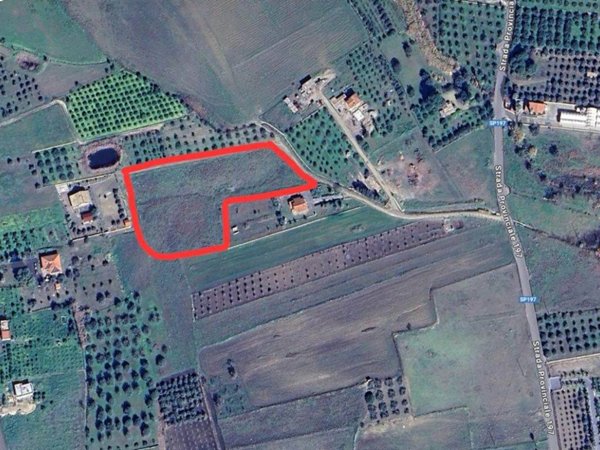 terreno agricolo in vendita a Scordia