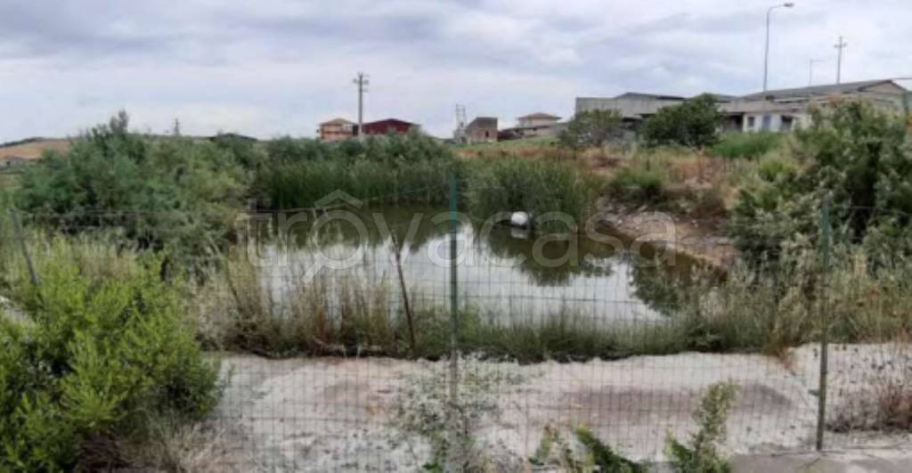 terreno agricolo in vendita a Scordia
