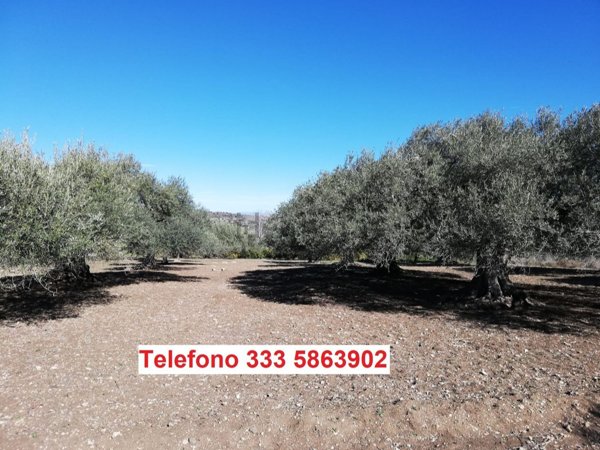 rudere in vendita a Scordia