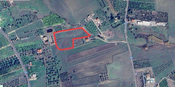 terreno agricolo in vendita a Scordia