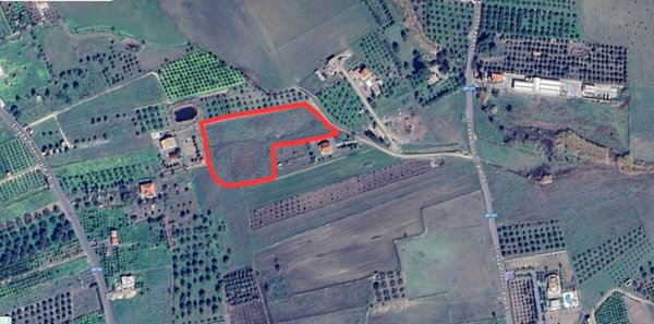 terreno agricolo in vendita a Scordia