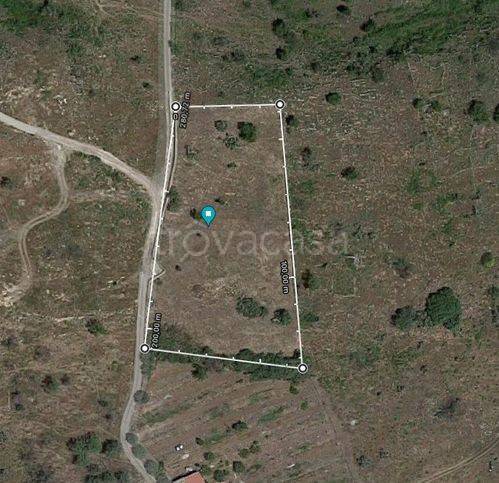 terreno agricolo in vendita a Scordia