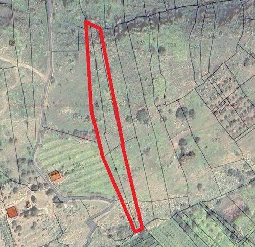 terreno agricolo in vendita a Scordia