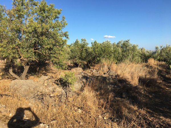 villa in vendita a Scordia