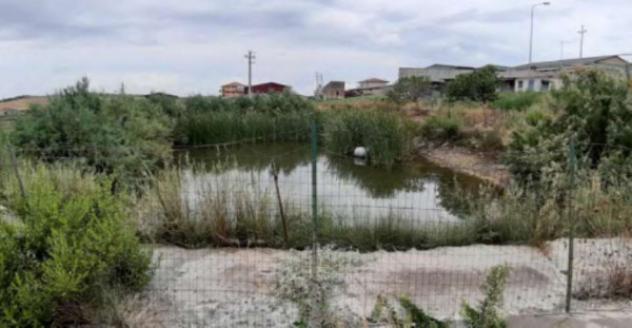 terreno agricolo in vendita a Scordia