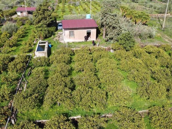 casa indipendente in vendita a Scordia