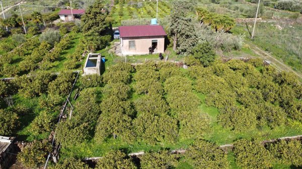 casa indipendente in vendita a Scordia