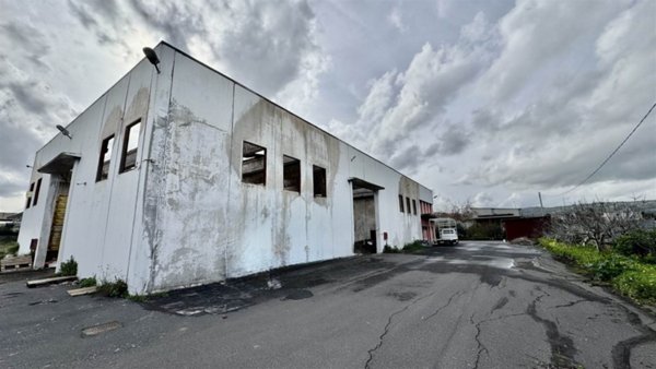 casa indipendente in vendita a Scordia