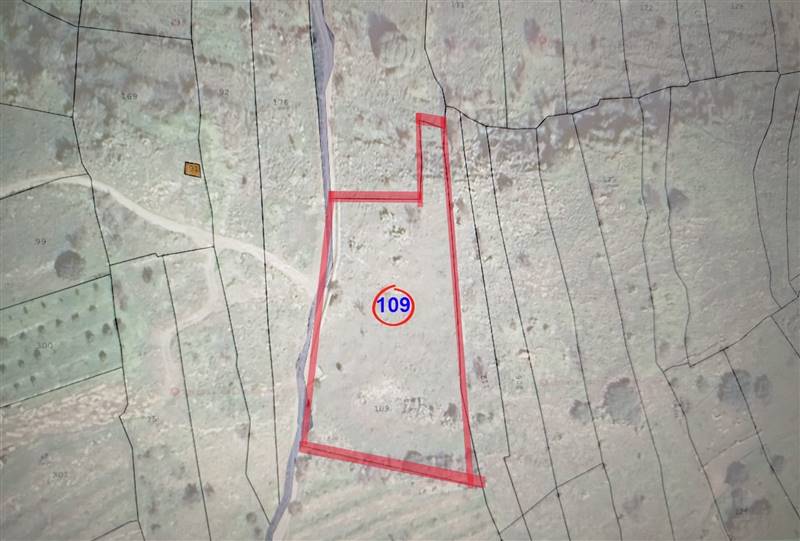 casa indipendente in vendita a Scordia