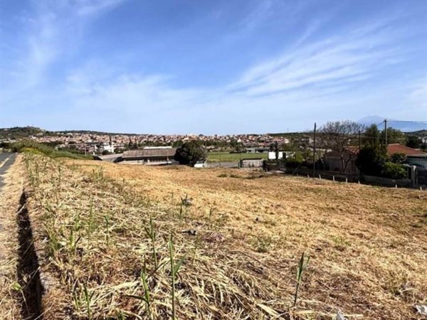 terreno agricolo in vendita a Scordia