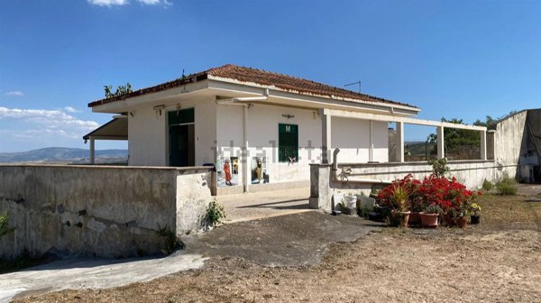 casa indipendente in vendita a Scordia