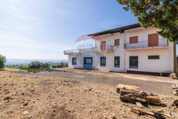 casa indipendente in vendita a Scordia