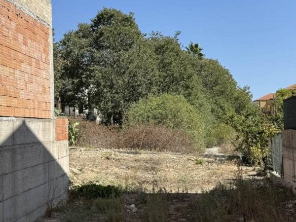 terreno agricolo in vendita a Scordia