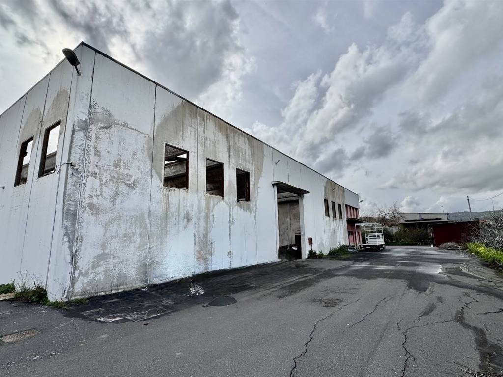 locale commerciale in vendita a Scordia