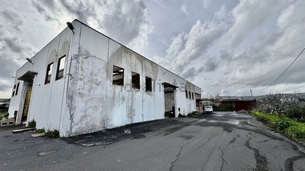 terreno edificabile in vendita a Scordia