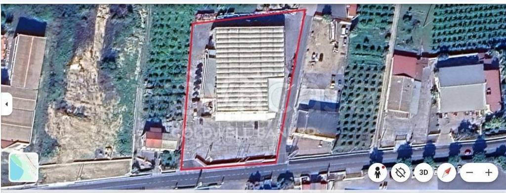 negozio in vendita a Scordia