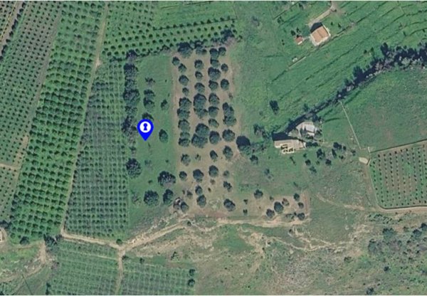 terreno agricolo in vendita a Scordia