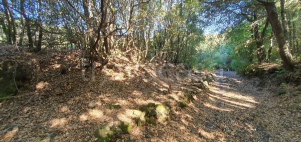 rudere in vendita a Trecastagni