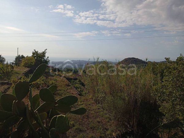 terreno agricolo in vendita a Trecastagni
