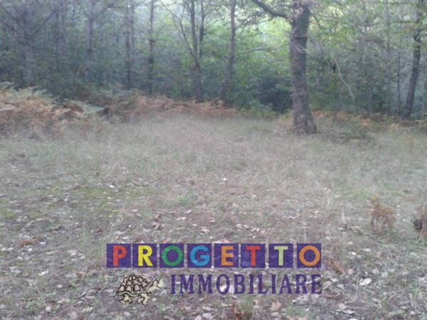 terreno agricolo in vendita a Trecastagni