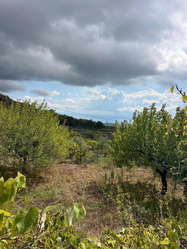 appartamento in vendita a Trecastagni