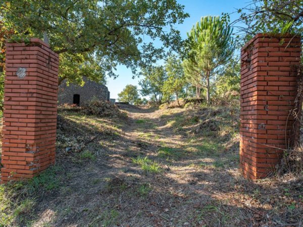 terreno agricolo in vendita a Trecastagni