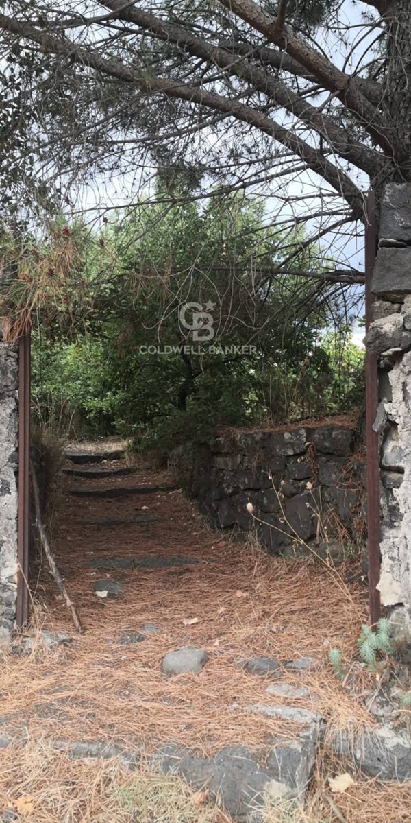 terreno agricolo in vendita a Trecastagni
