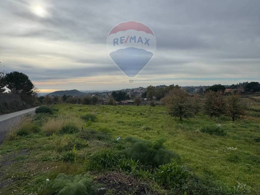 terreno agricolo in vendita a Trecastagni