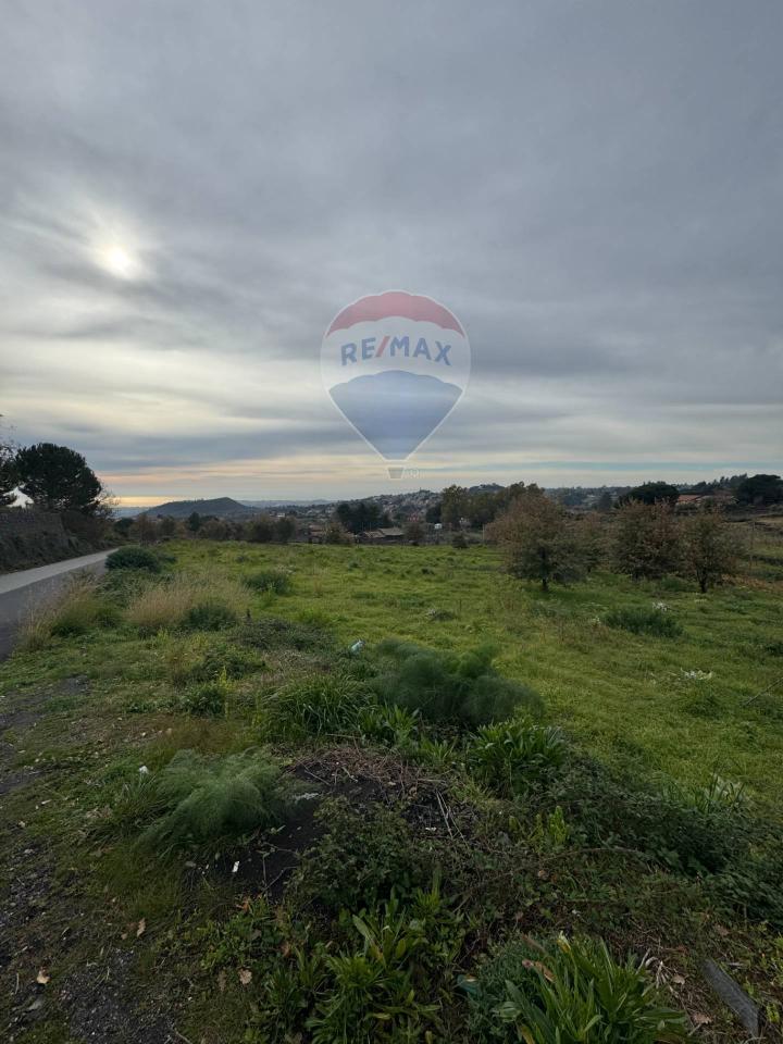 terreno agricolo in vendita a Trecastagni
