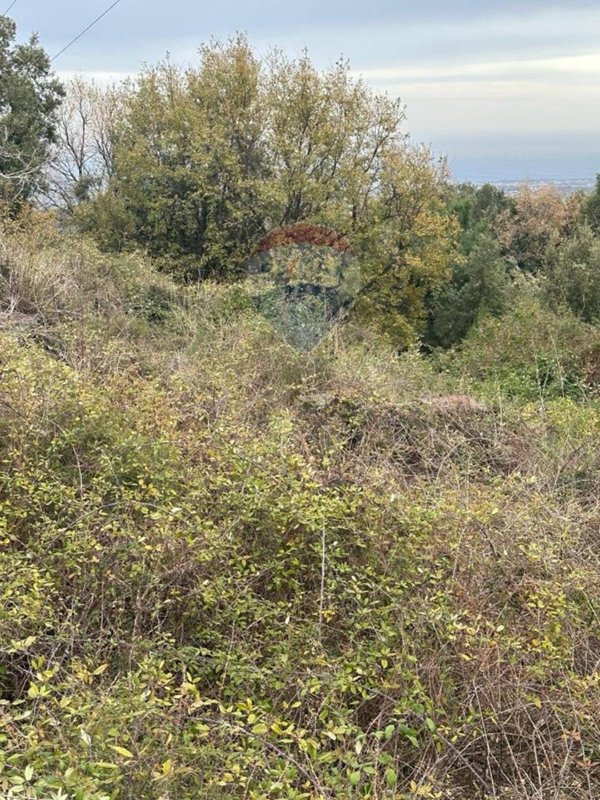 terreno agricolo in vendita a Trecastagni