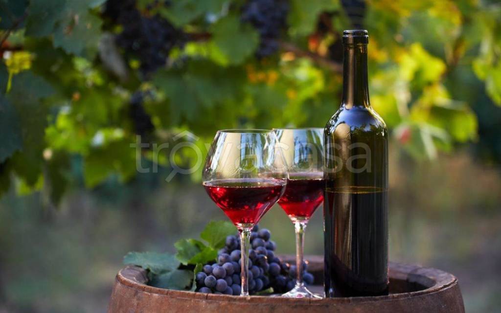 terreno agricolo in vendita a Trecastagni