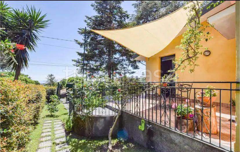 casa indipendente in vendita a Trecastagni