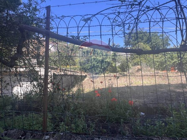terreno agricolo in vendita a Trecastagni