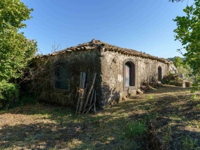 terreno agricolo in vendita a Trecastagni