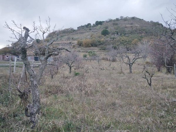 terreno agricolo in vendita a Trecastagni