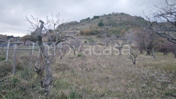 terreno agricolo in vendita a Trecastagni