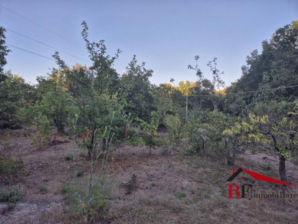 terreno agricolo in vendita a Trecastagni