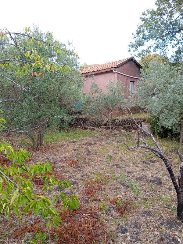 terreno agricolo in vendita a Trecastagni