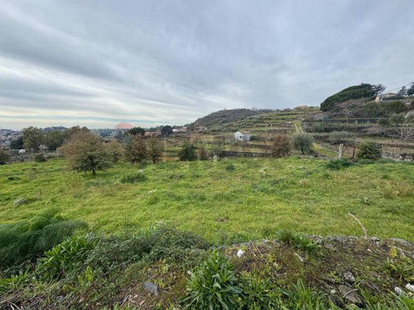 terreno agricolo in vendita a Trecastagni