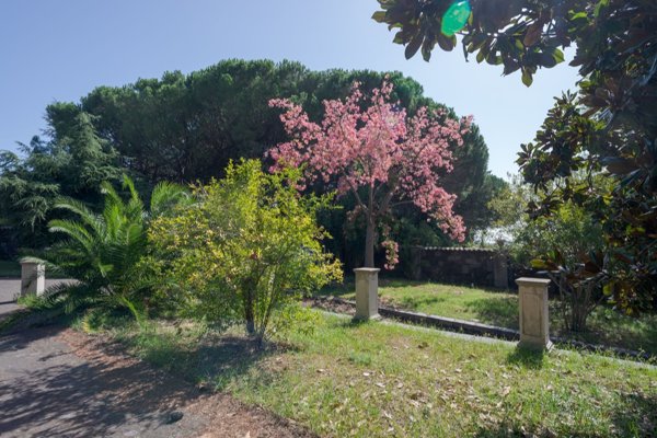 casa indipendente in vendita a Trecastagni