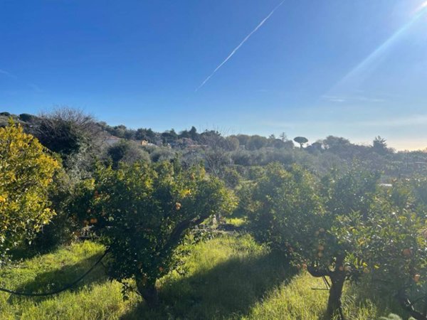 casa indipendente in vendita a Trecastagni